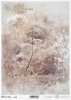 trawy, kwiaty polne, akwarela*grasses, field flowers, watercolour*Gräser, Feldblumen, Aquarell*hierbas, flores de campo, acuarela